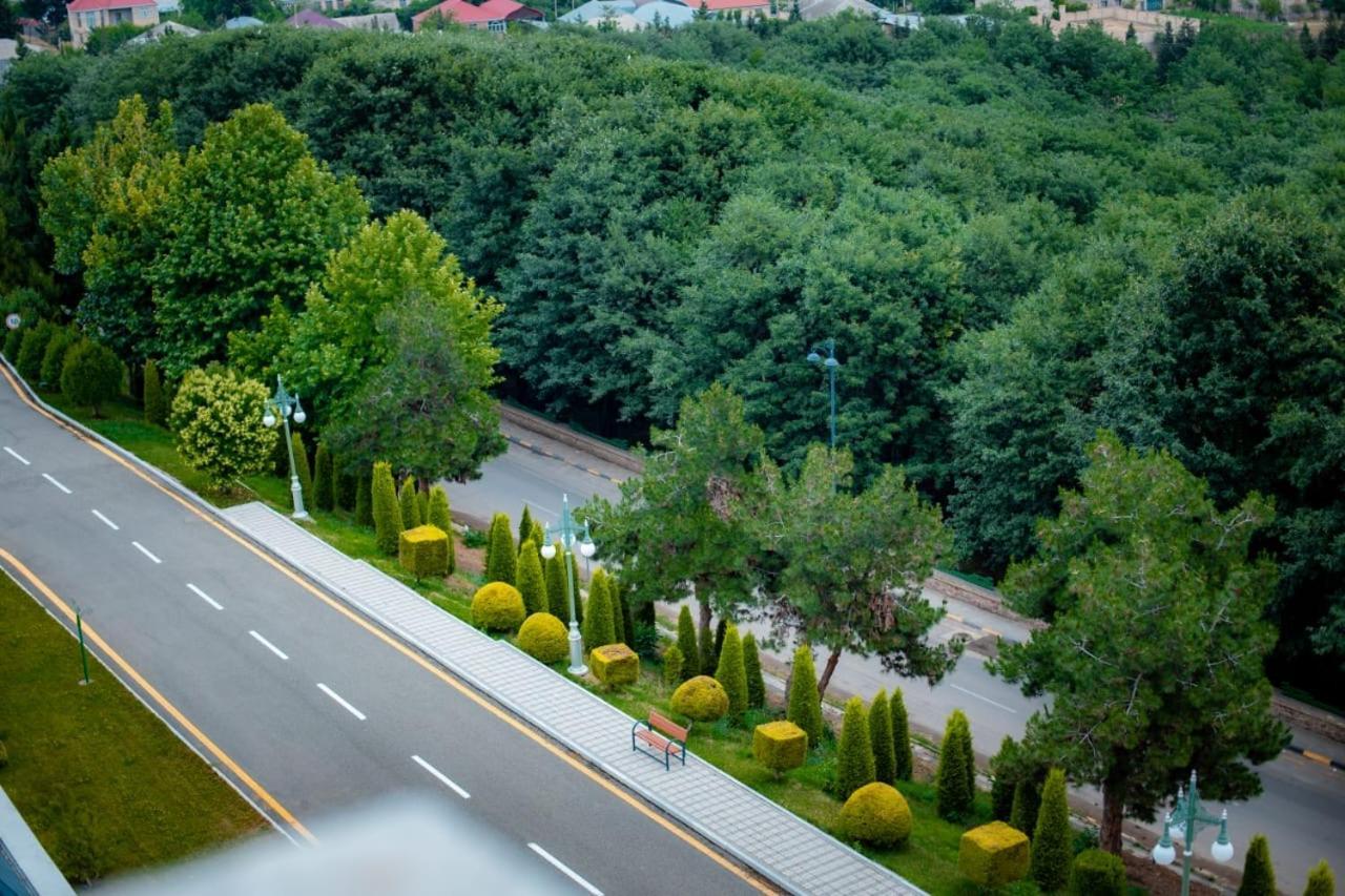Ayan Palace Hotel Tovuz Kültér fotó