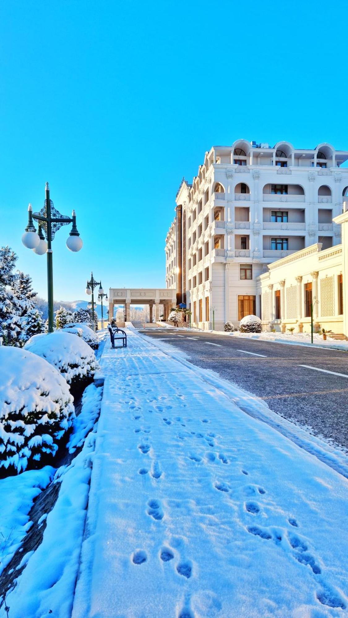 Ayan Palace Hotel Tovuz Kültér fotó